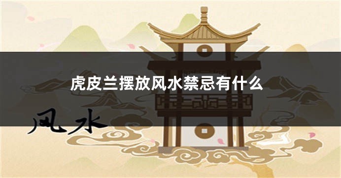 虎皮兰摆放风水禁忌有什么