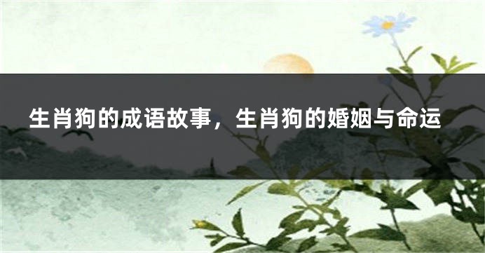 生肖狗的成语故事，生肖狗的婚姻与命运