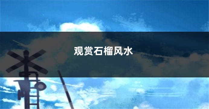 观赏石榴风水