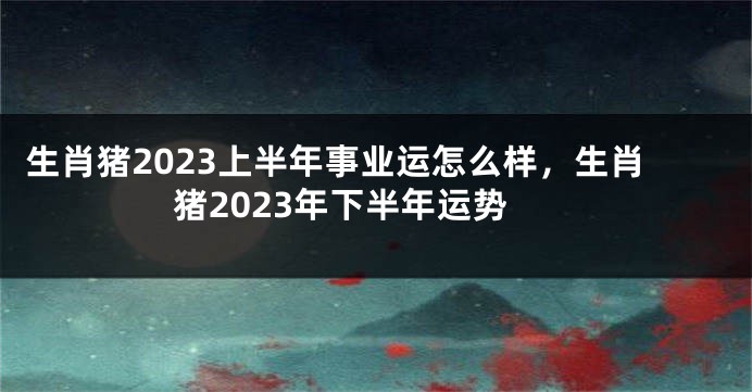 生肖猪2023上半年事业运怎么样，生肖猪2023年下半年运势