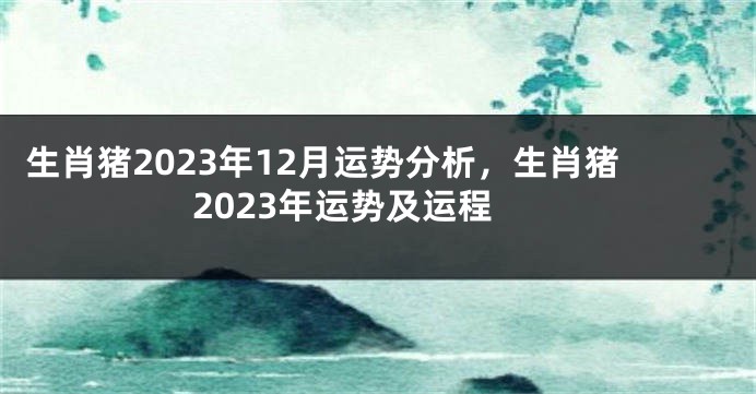生肖猪2023年12月运势分析，生肖猪2023年运势及运程