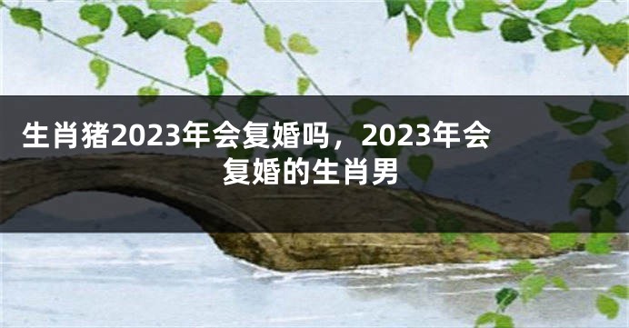 生肖猪2023年会复婚吗，2023年会复婚的生肖男