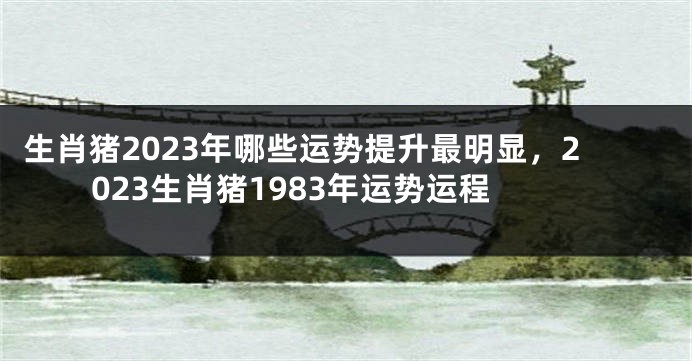 生肖猪2023年哪些运势提升最明显，2023生肖猪1983年运势运程