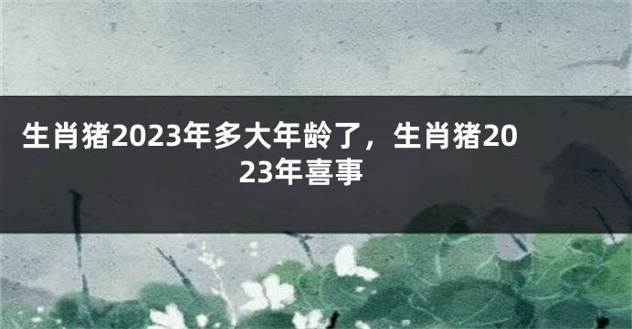 生肖猪2023年多大年龄了，生肖猪2023年喜事