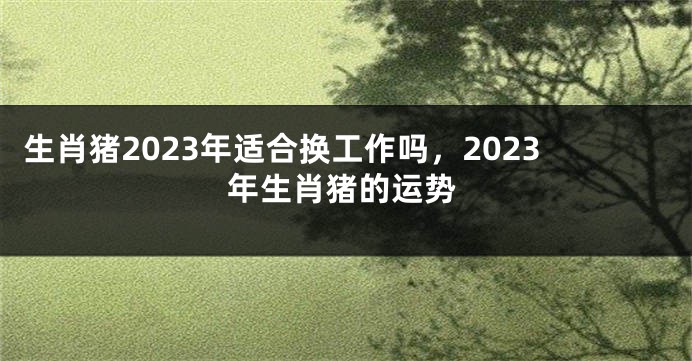 生肖猪2023年适合换工作吗，2023年生肖猪的运势