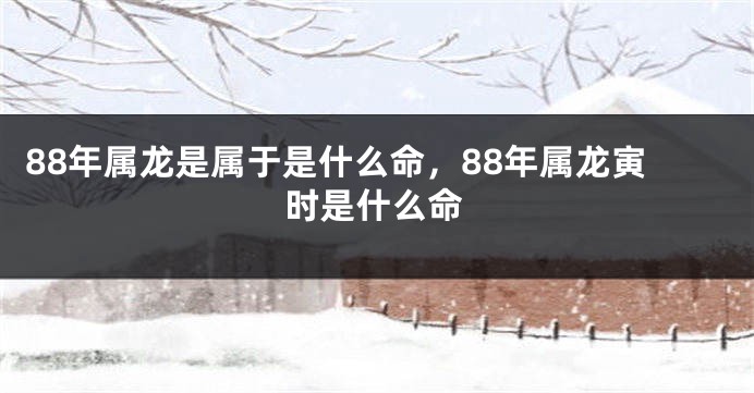 88年属龙是属于是什么命，88年属龙寅时是什么命