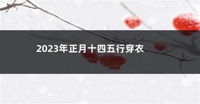 2023年正月十四五行穿衣
