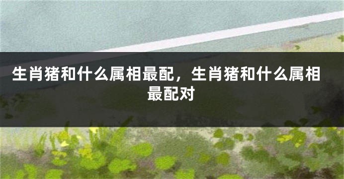生肖猪和什么属相最配，生肖猪和什么属相最配对