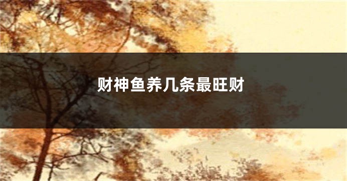 财神鱼养几条最旺财
