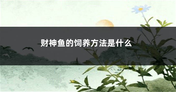 财神鱼的饲养方法是什么