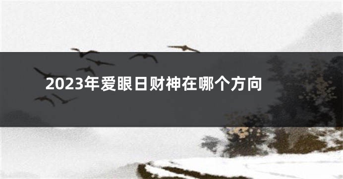 2023年爱眼日财神在哪个方向