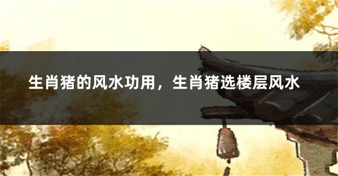 生肖猪的风水功用，生肖猪选楼层风水