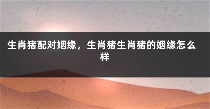生肖猪配对姻缘，生肖猪生肖猪的姻缘怎么样