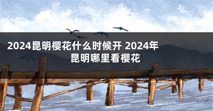 2024昆明樱花什么时候开 2024年昆明哪里看樱花