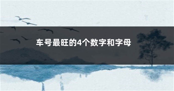 车号最旺的4个数字和字母