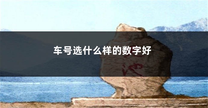 车号选什么样的数字好