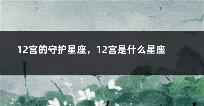 12宫的守护星座，12宫是什么星座