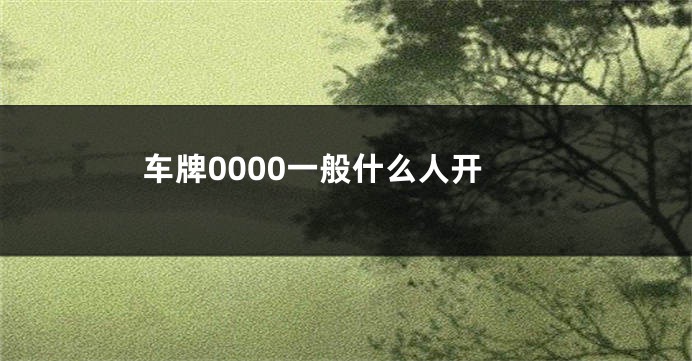 车牌0000一般什么人开
