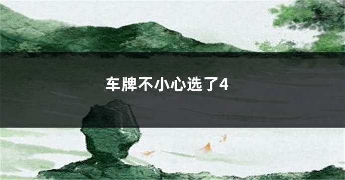车牌不小心选了4