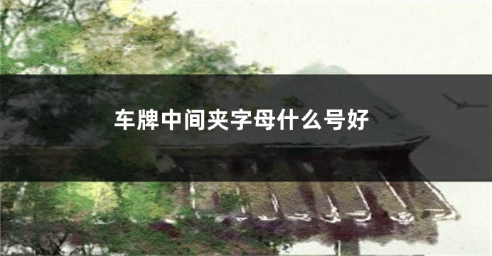 车牌中间夹字母什么号好