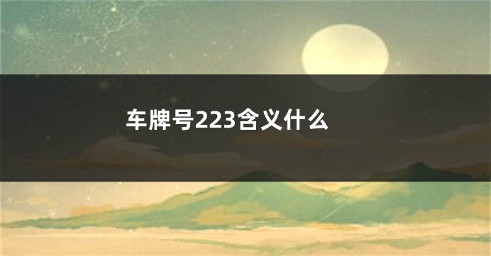 车牌号223含义什么
