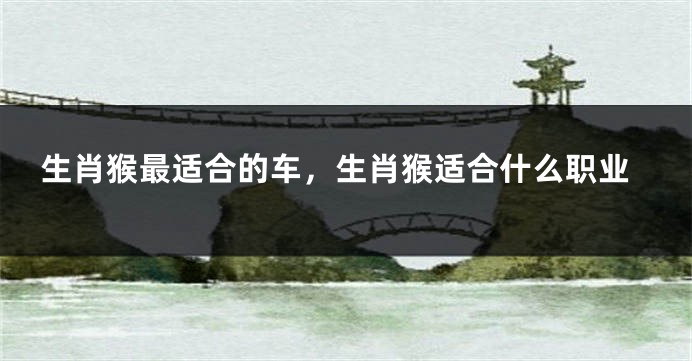 生肖猴最适合的车，生肖猴适合什么职业