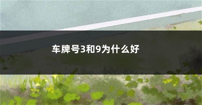 车牌号3和9为什么好