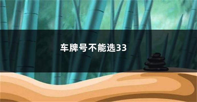 车牌号不能选33
