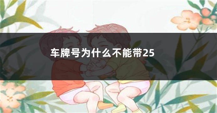 车牌号为什么不能带25