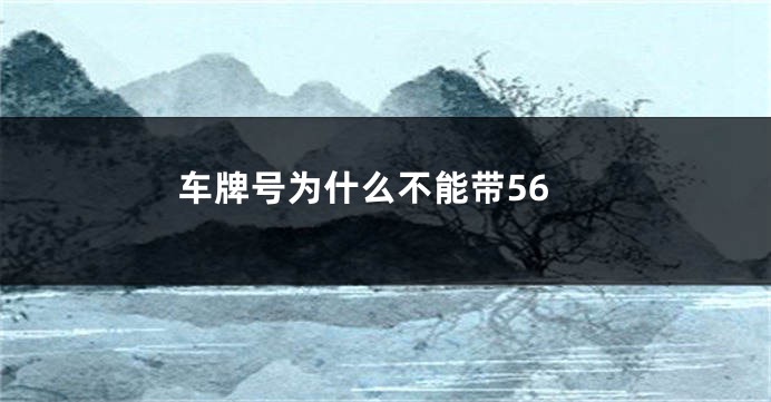 车牌号为什么不能带56