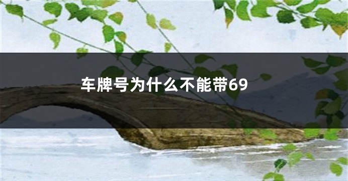 车牌号为什么不能带69