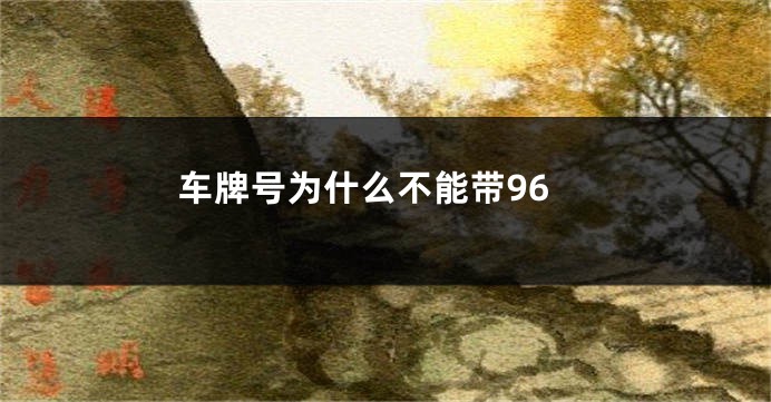 车牌号为什么不能带96