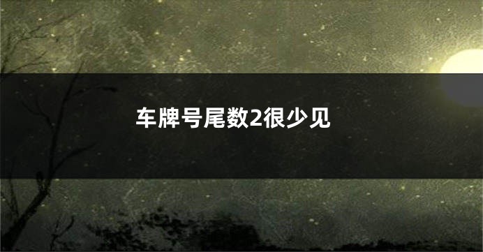 车牌号尾数2很少见