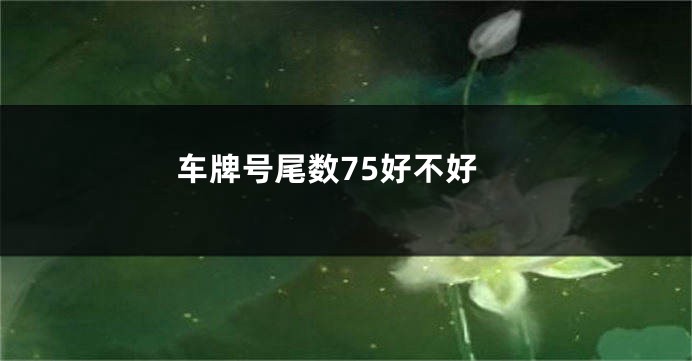 车牌号尾数75好不好