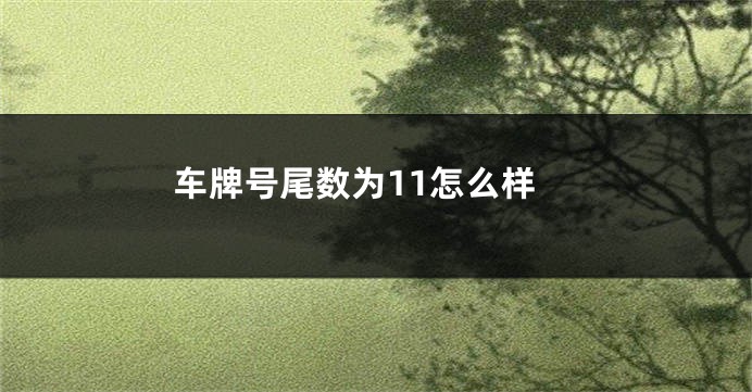 车牌号尾数为11怎么样