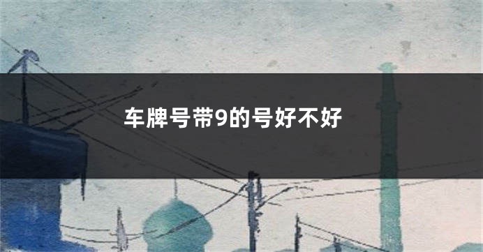 车牌号带9的号好不好