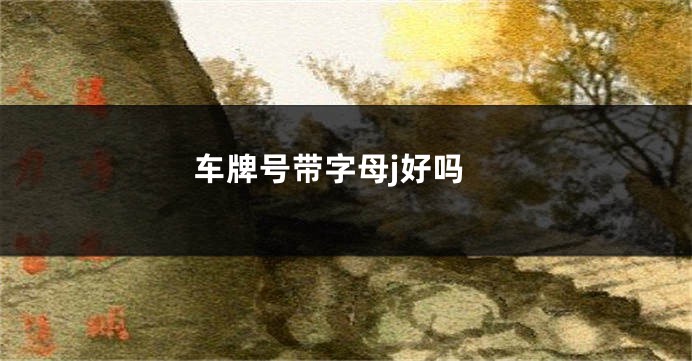 车牌号带字母j好吗
