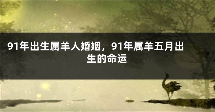 91年出生属羊人婚姻，91年属羊五月出生的命运
