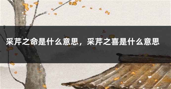 采芹之命是什么意思，采芹之喜是什么意思