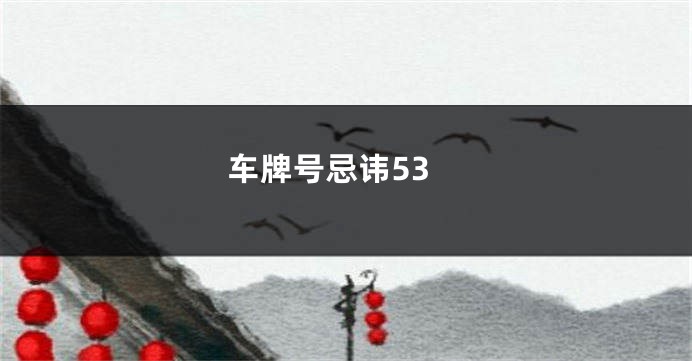 车牌号忌讳53