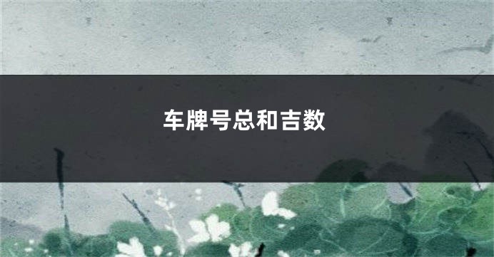 车牌号总和吉数