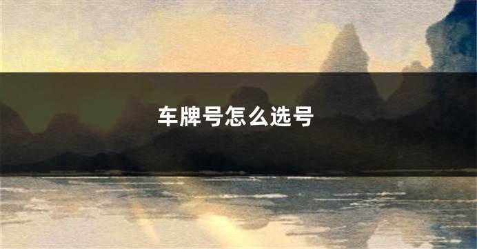 车牌号怎么选号