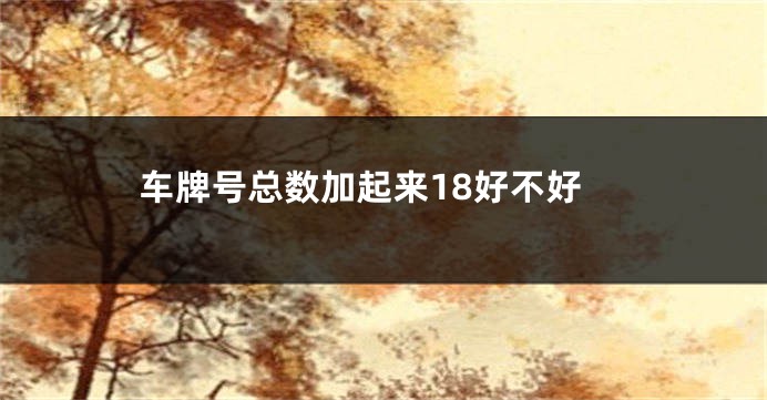 车牌号总数加起来18好不好