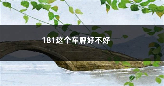 181这个车牌好不好