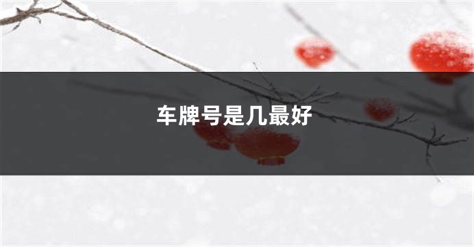 车牌号是几最好