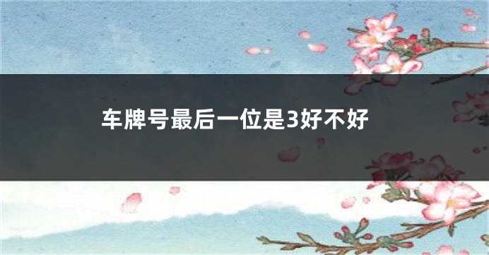 车牌号最后一位是3好不好