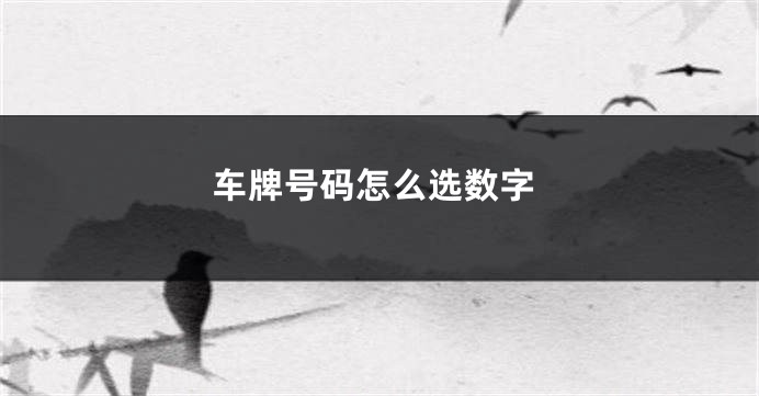 车牌号码怎么选数字