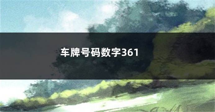 车牌号码数字361
