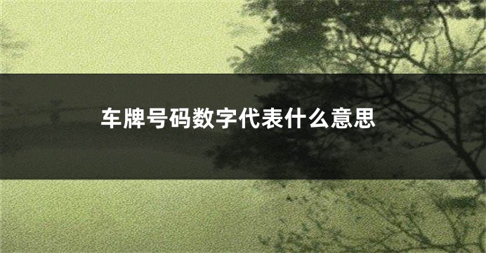 车牌号码数字代表什么意思