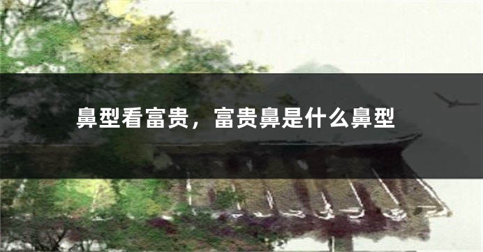 鼻型看富贵，富贵鼻是什么鼻型